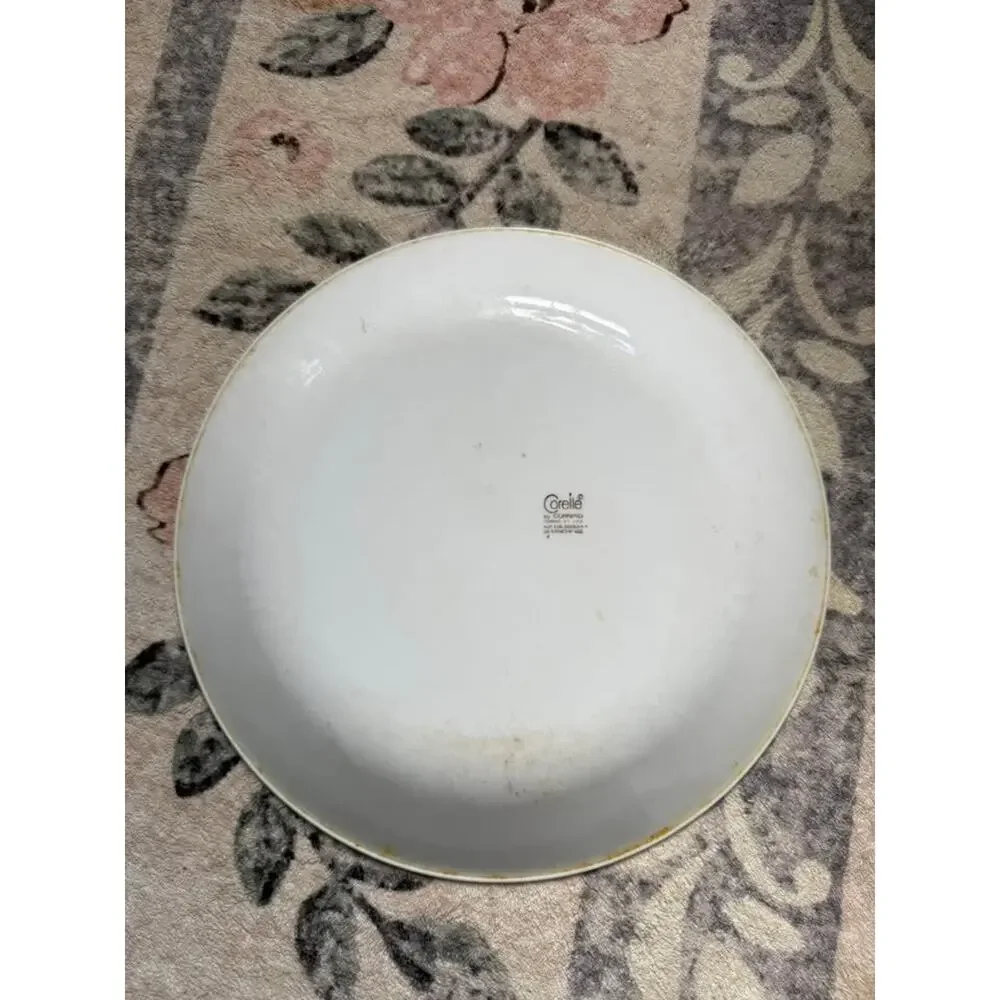 Vtg Corelle by Corning Indian Summer